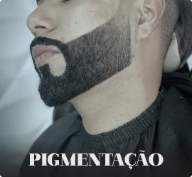 Pigmentação